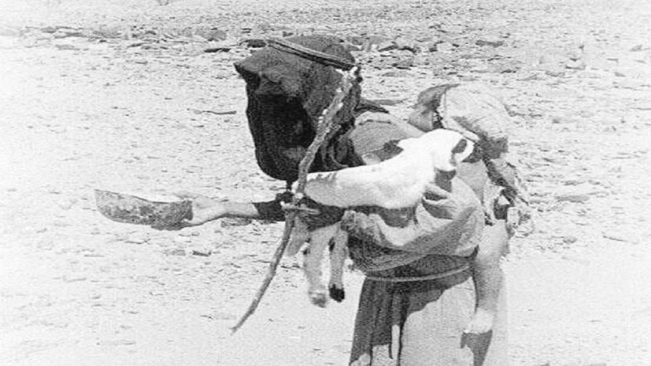 صورة لامرأة من بيشة تحمل صغيرها وإناء حليب قبل 75 عاما