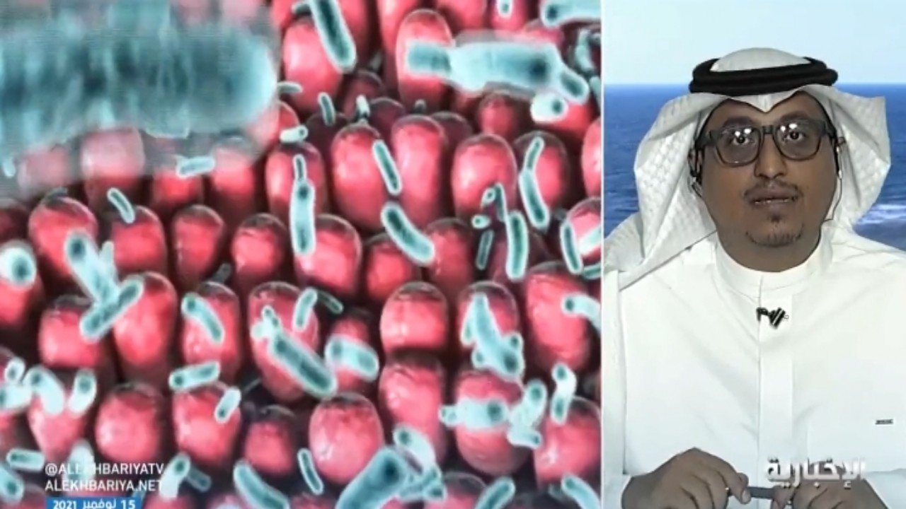 بالفيديو.. طبيب: البكتيريا النافعة تصنع على شكل كبسولات للأشخاص وحلويات للأطفال