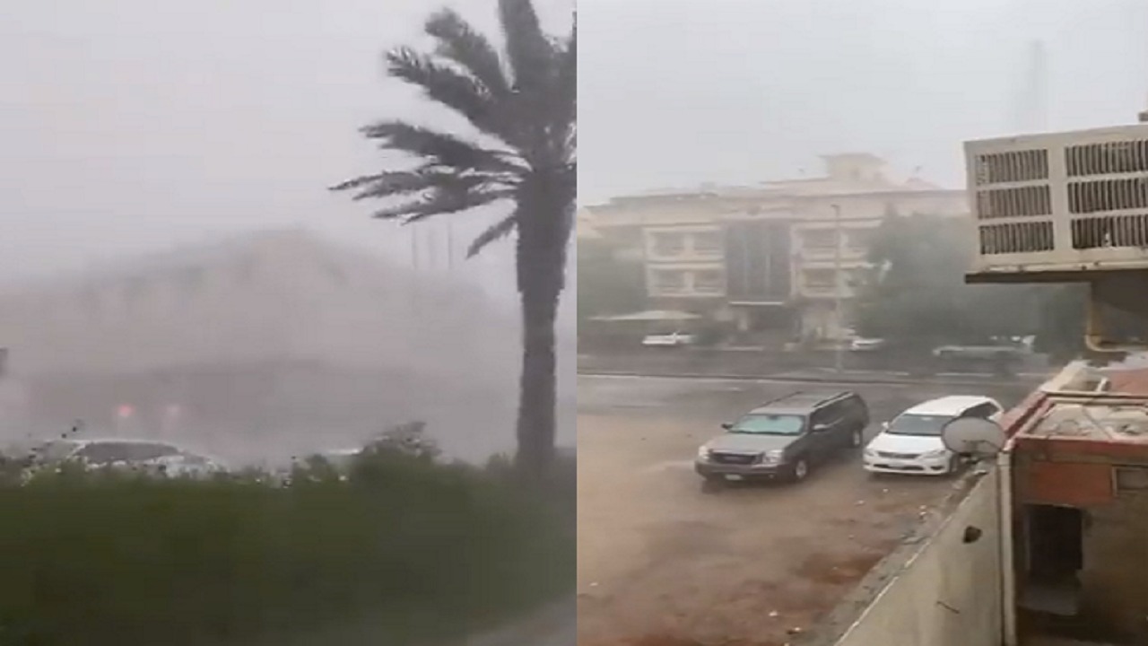 بالفيديو.. هطول أمطار غزيرة مصحوبة برياح قوية على جدة