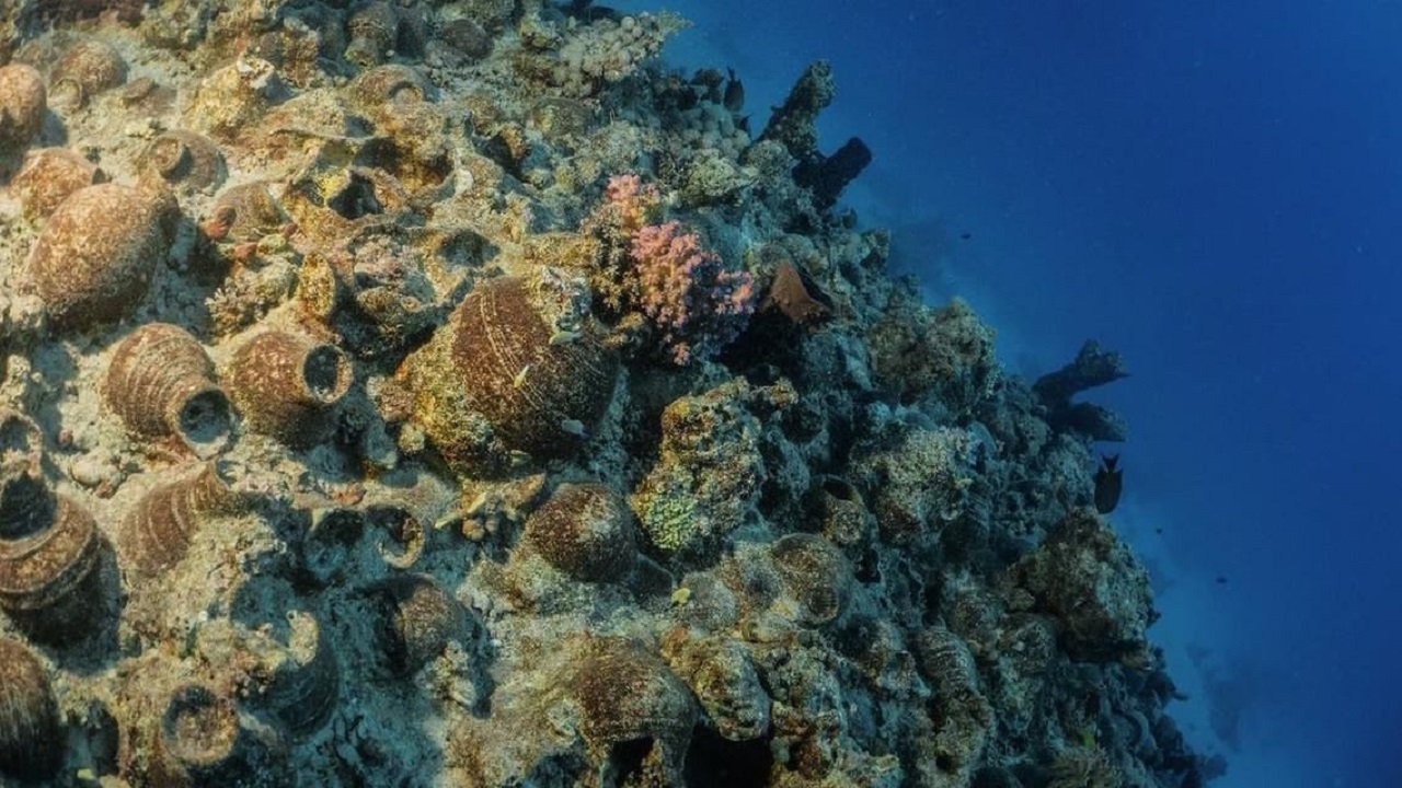 البحر الأحمر ينفذ أول مشروع في المملكة ينقب عن الآثار تحت الماء