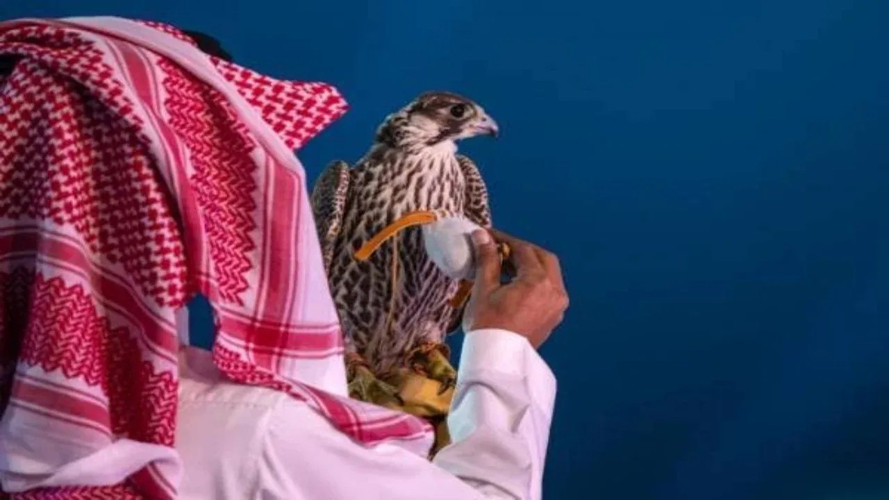الزعيم و “توكلنا” أغرب أسماء الصقور بمهرجان الملك عبدالعزيز