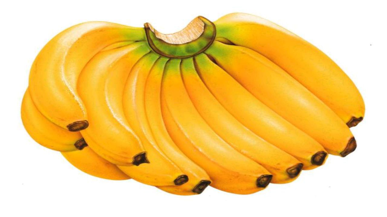 أبرز فوائد الموز للرجال وعلاقته بالخصوبة