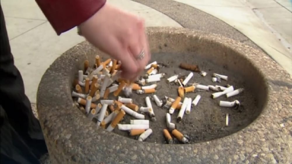 بالفيديو.. دراسة تؤكد أن أصحاب الشهادات العليا هم الأعلى نسبة في التدخين