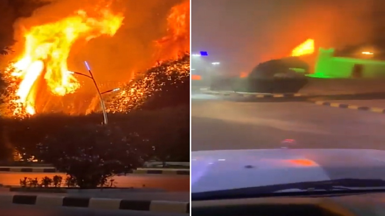 بالفيديو .. اندلاع حريق بالأشجار في شلال “تمير”