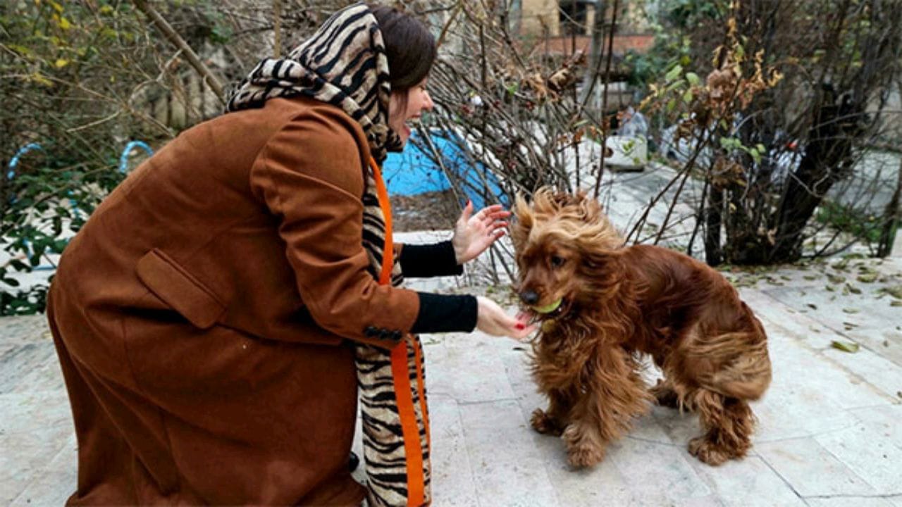 قانون يحظر تربية الحيوانات الأليفة يثير غضب الإيرانيين