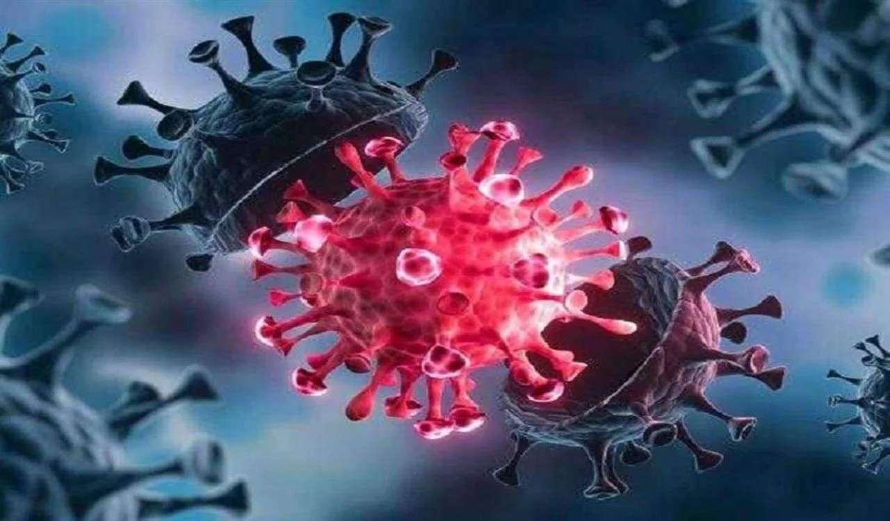 دراسة علمية تكشف خطر أوميكرون على المناعة البشرية