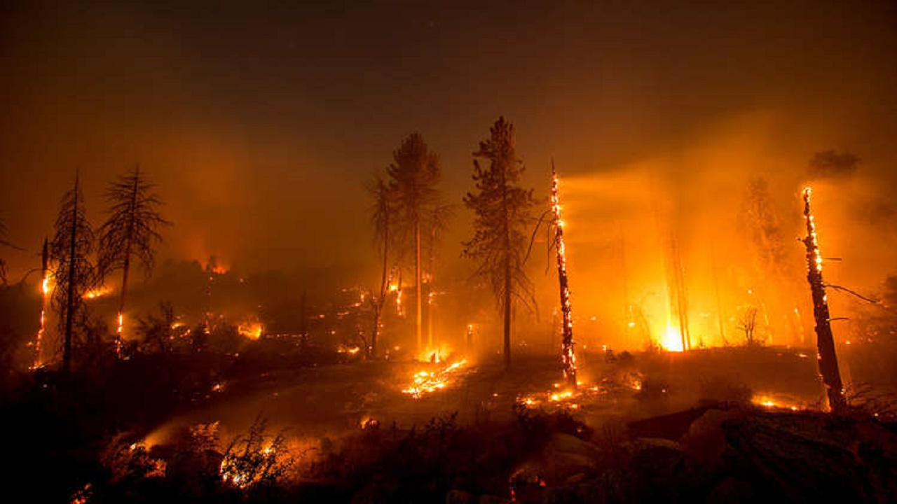 اعتقال رجل وابنه بتهمة إشعال حريق الغابات الضخم في كاليفورنيا