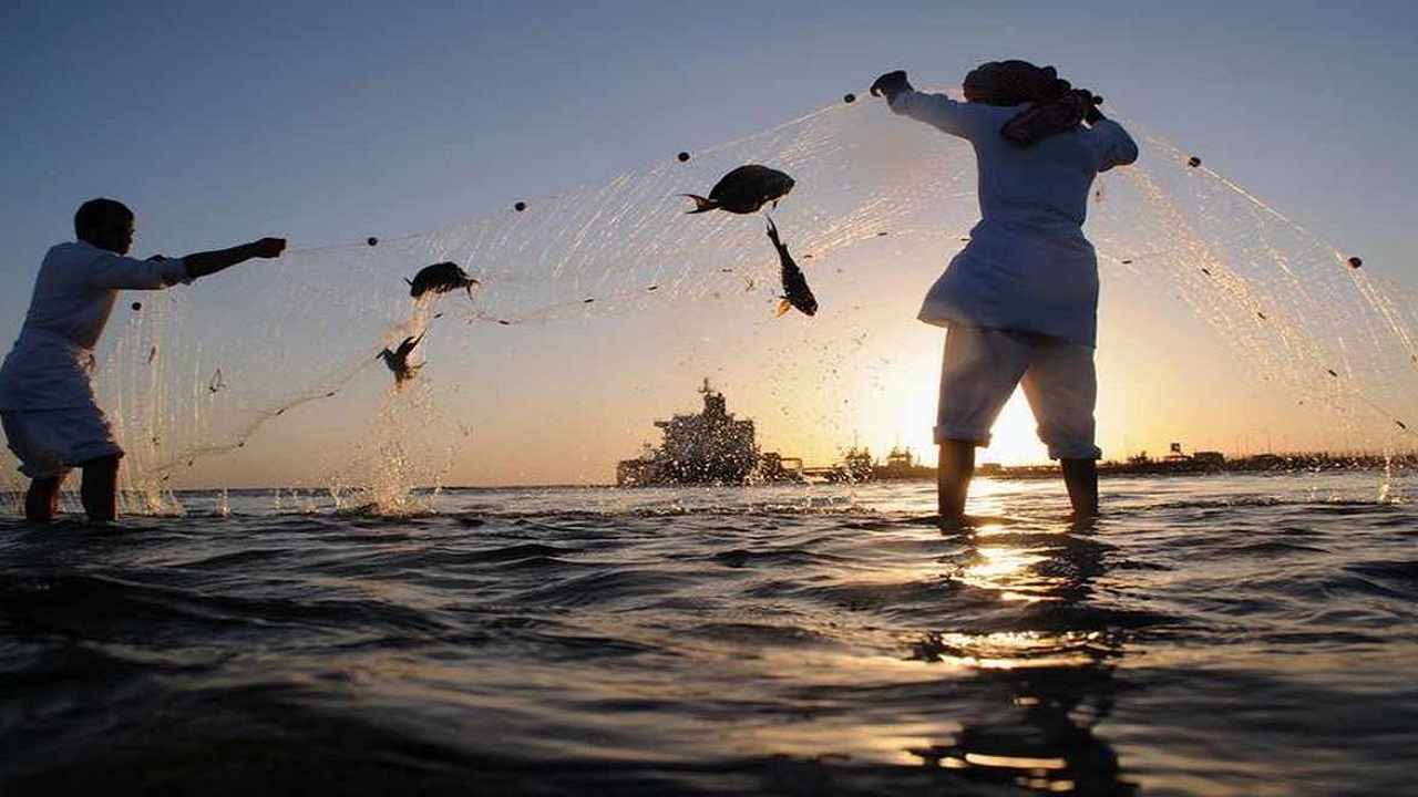 بالفيديو.. توطين 43% من مهن صيد الأسماك في المملكة خلال عام