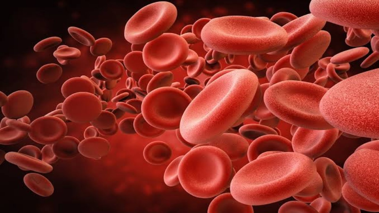 أسباب عديدة تؤدي إلى ارتفاع كريات الدم الحمراء
