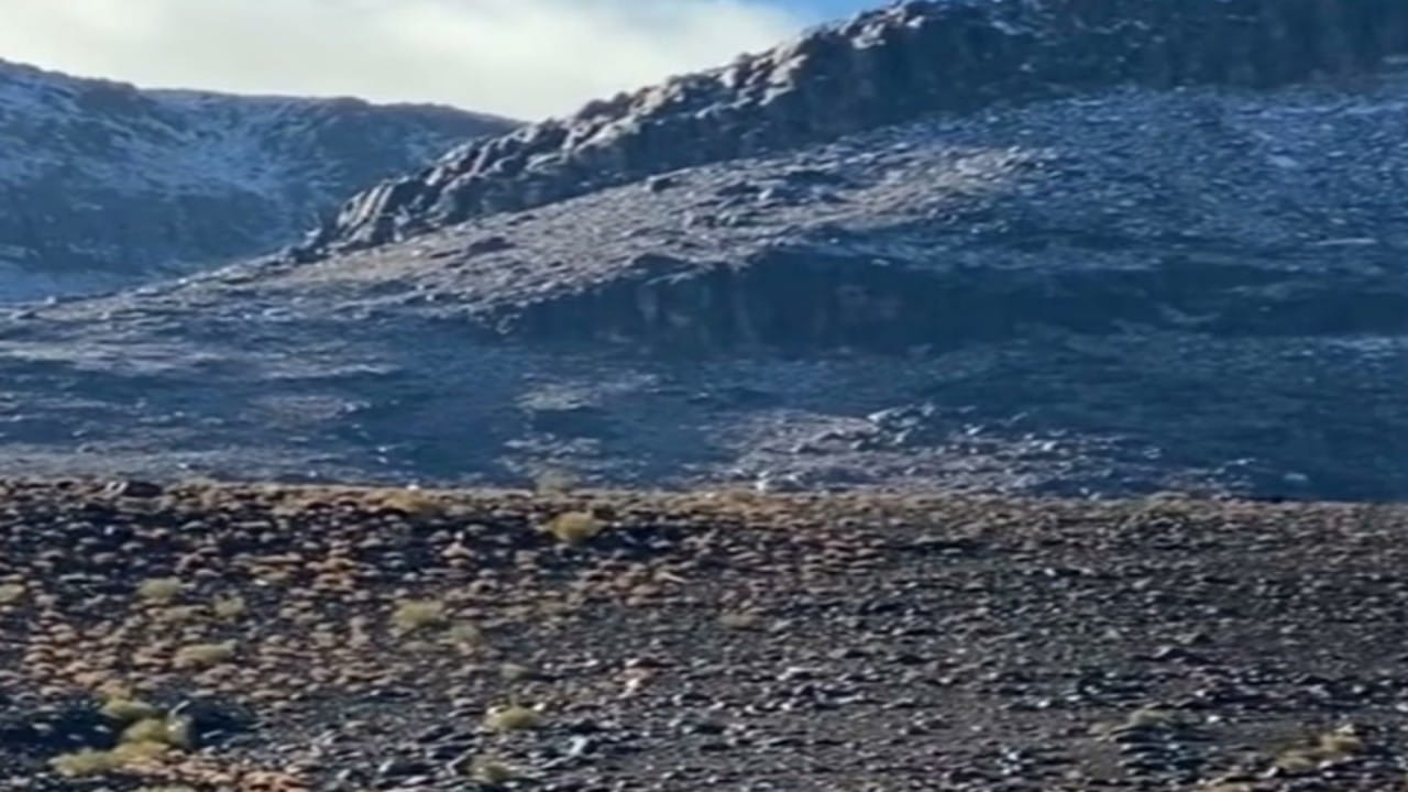 الكشف عن سر تسمية جبل شيبان بتبوك بهذا الاسم “فيديو”