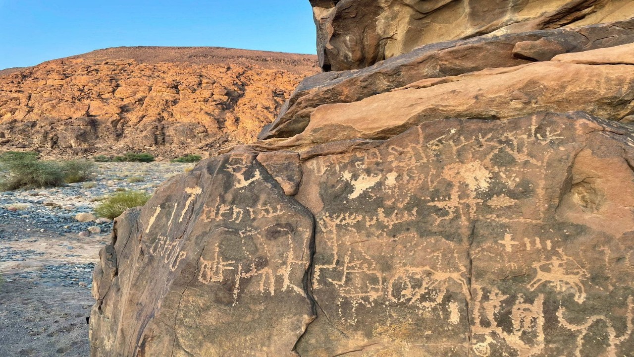 قصة درب نقيب البكرة التاريخي في تبوك