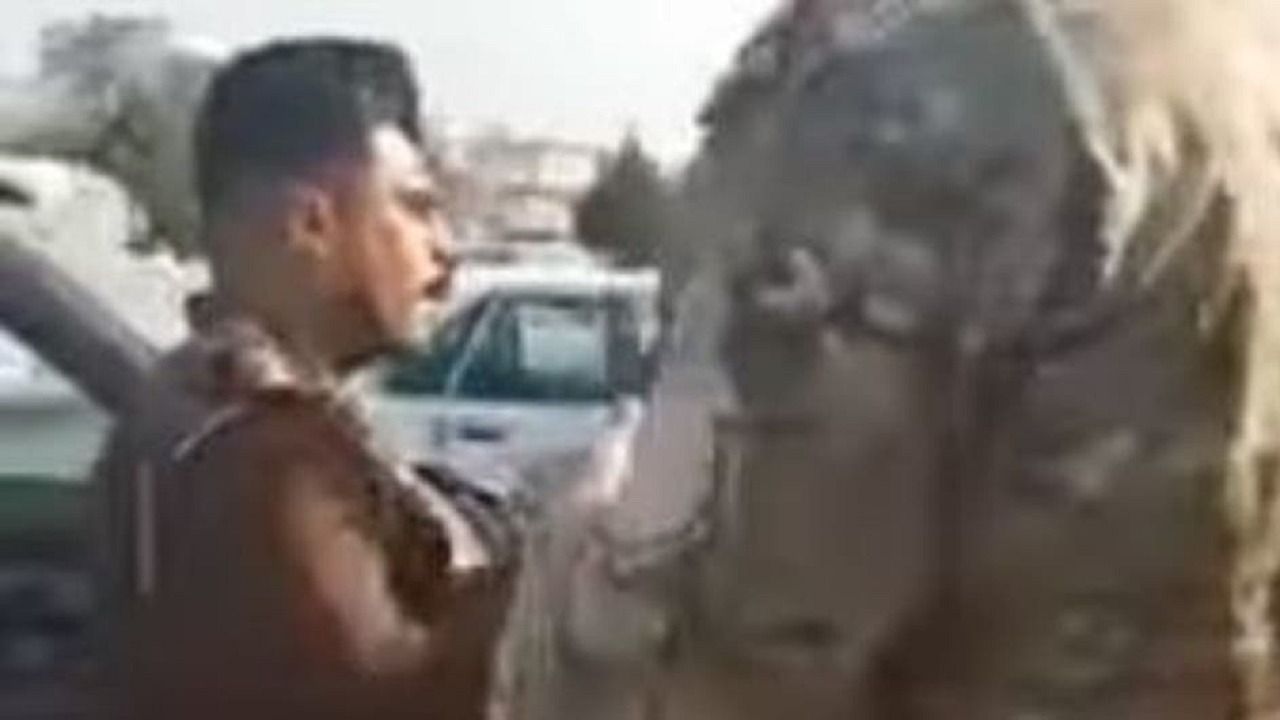 بالفيديو.. ضابط عراقي يعتدي على مواطن بسلاحه