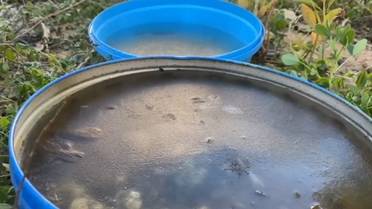 بالفيديو.. تجمد المياه بفعل انخفاض الحرارة في طريف