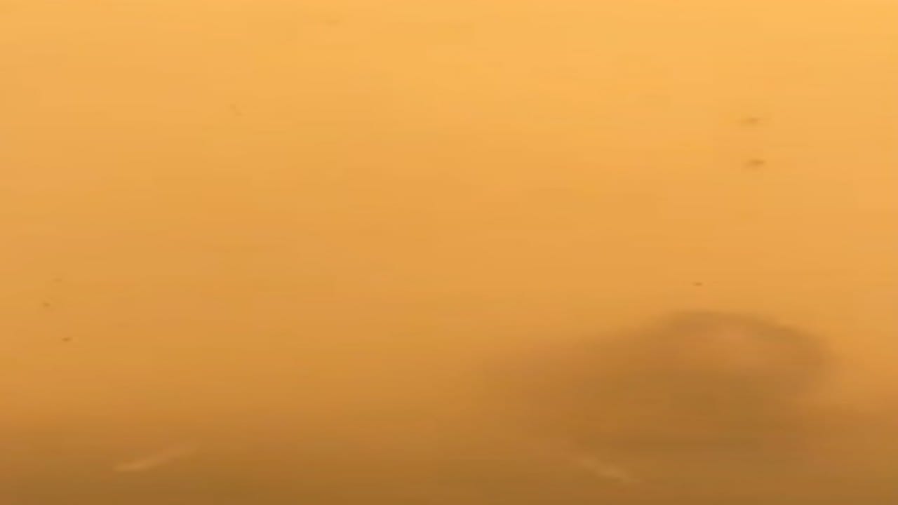 شاهد.. لحظة هبوب عاصفة رملية على طريق &#8220;الرياض &#8211; حوطة بني تميم&#8221;