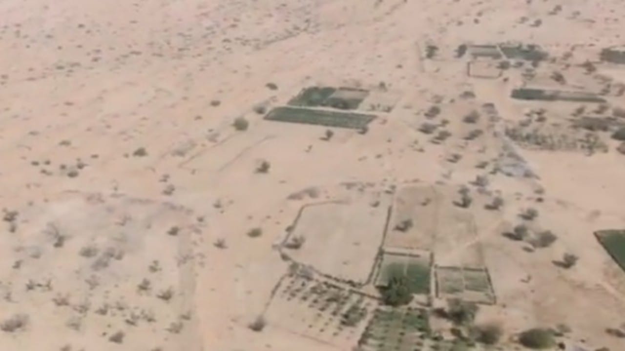 شاهد.. فرار جماعي للحوثيين تحت ضربات مدفعية العمالقة بمأرب 