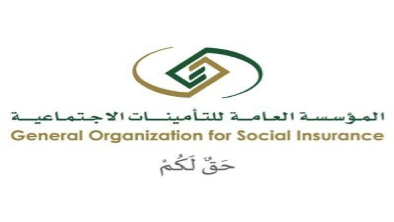 التأمينات الاجتماعية توضح مفهوم وأهداف خدمة “نيشان”