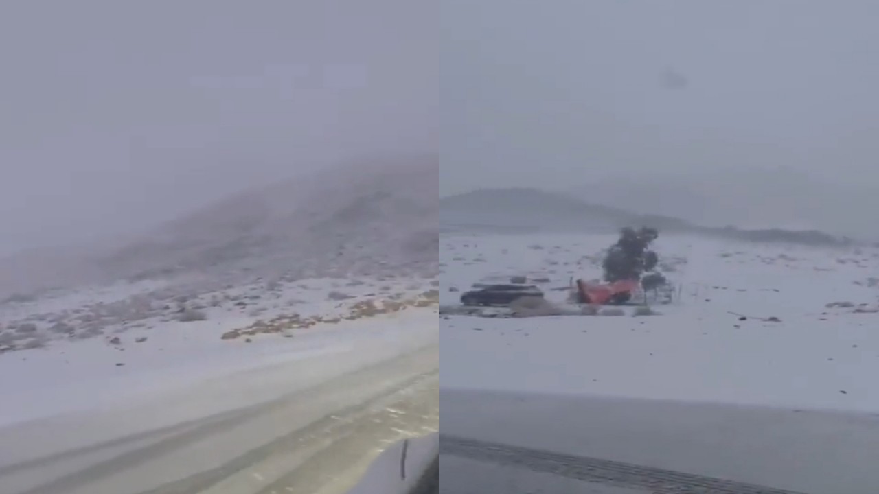 بالفيديو.. جبل اللوز يكتسي باللون الأبيض بعد تساقط الثلوج