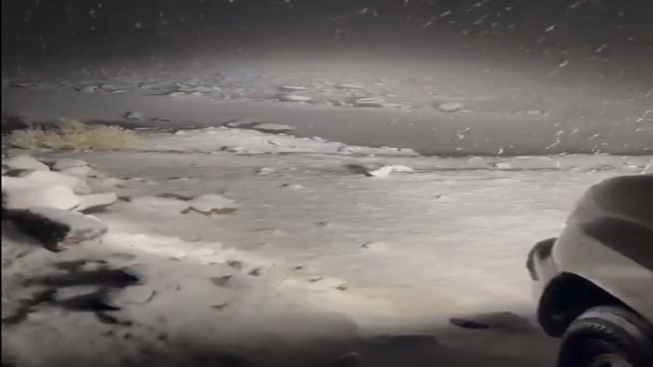 بالفيديو.. تساقط الثلوج على تبوك في مشهد خلاب