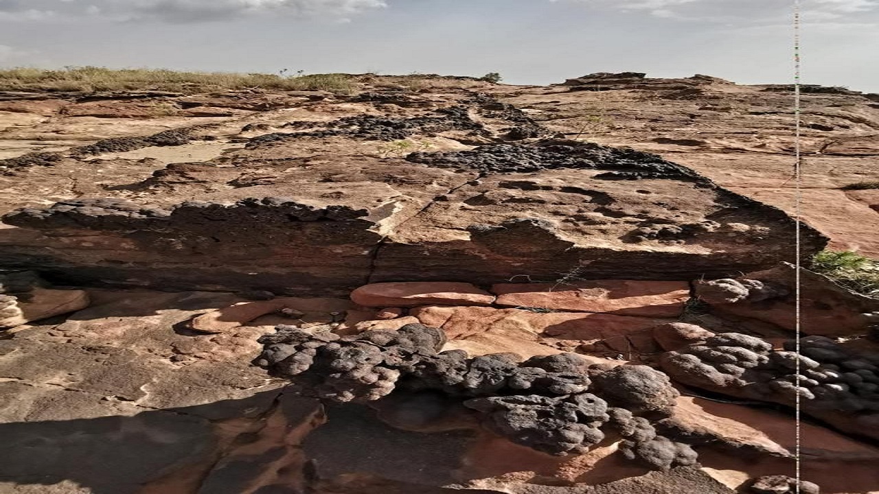 ناشط جيولوجي:  ظاهرة الكتل المتحجرة في المملكة يمكن الاستفادة منها سياحياً بشكل كبير