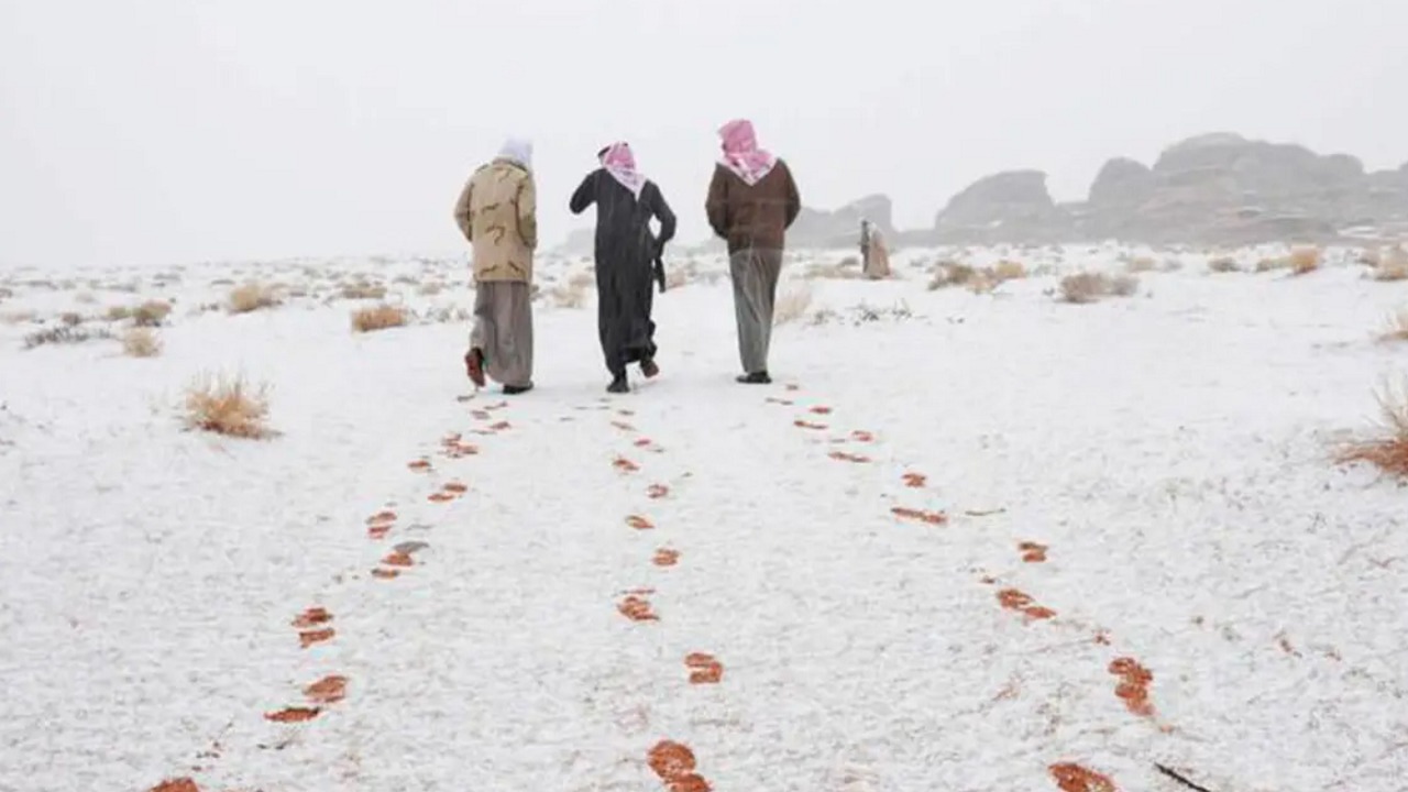 الحصيني: موجة باردة تتربع على المملكة “الجمعة”