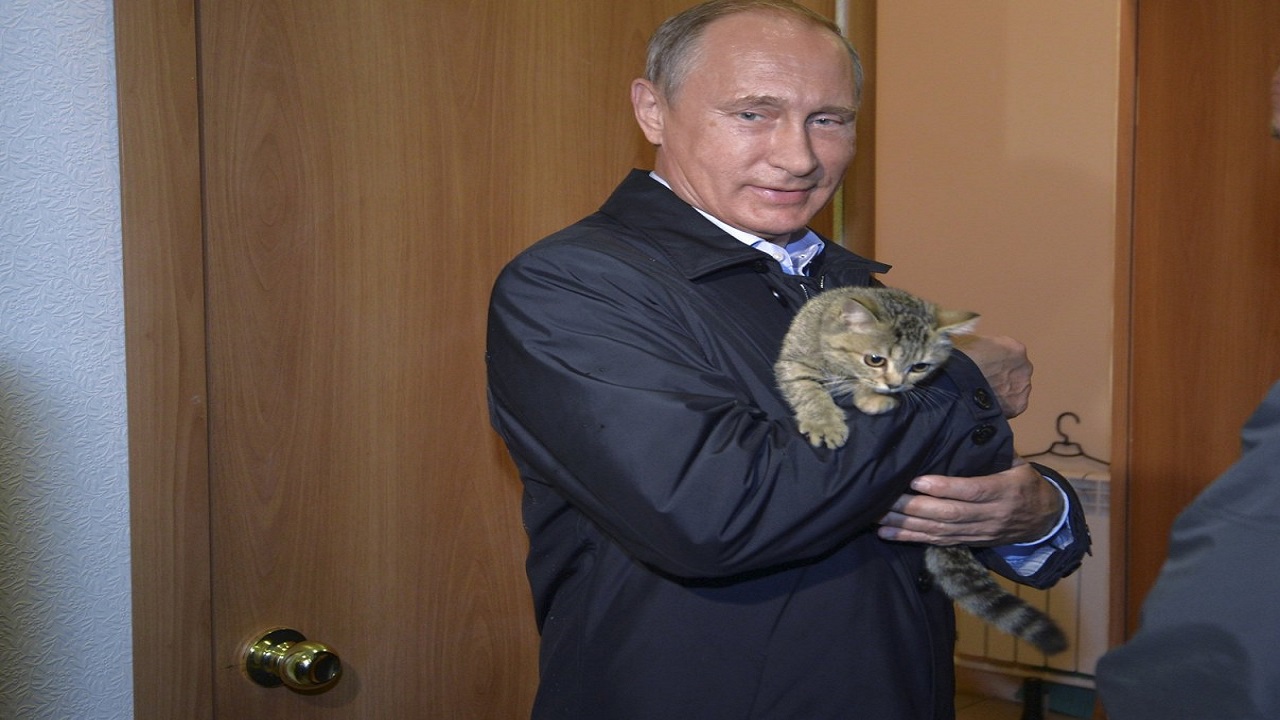العقوبات ضد روسيا تصل للقطط