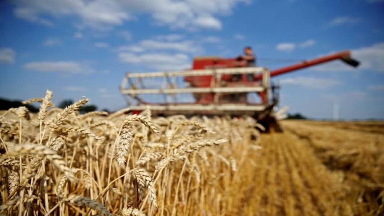 &#8220;الغذاء العالمي&#8221;: حرب أوكرانيا ستؤدي لارتفاع أسعار القمح