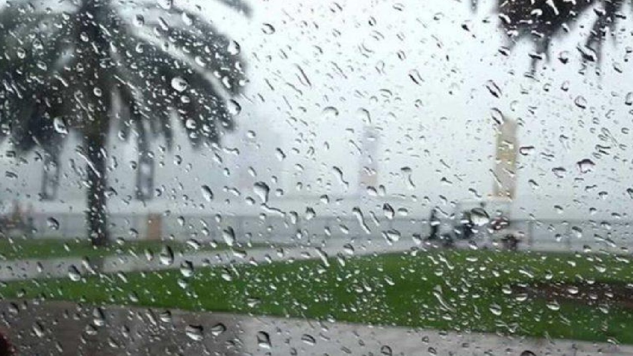 بالفيديو .. الأرصاد: استعدوا لهطول الأمطار الربيعية