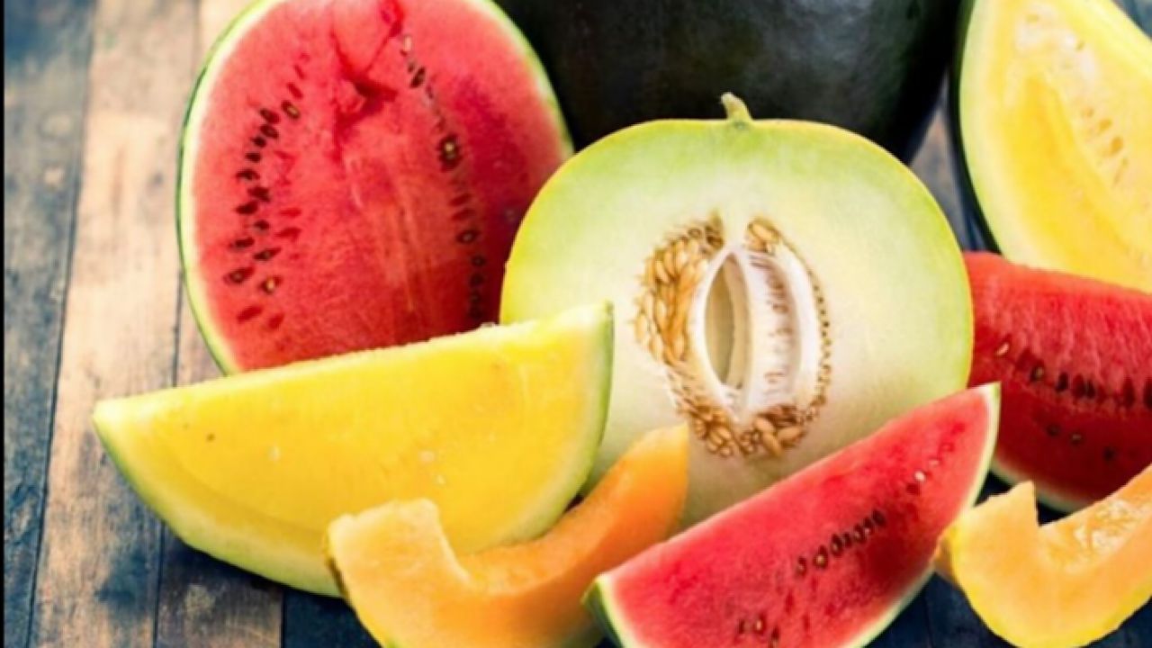 الشمام والبطيخ الأحمر غذاء متوازن لصحة الجسم