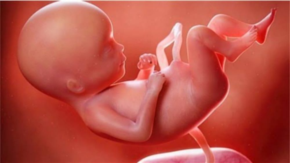 معرفة جنس الجنين قبل الولادة ينفذ حياته