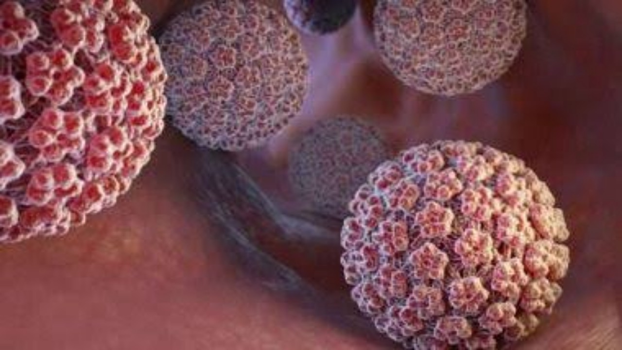 بالفيديو.. استشارية: فيروس الورم الحليمي منتشر عالميا ويصيب النساء والرجال