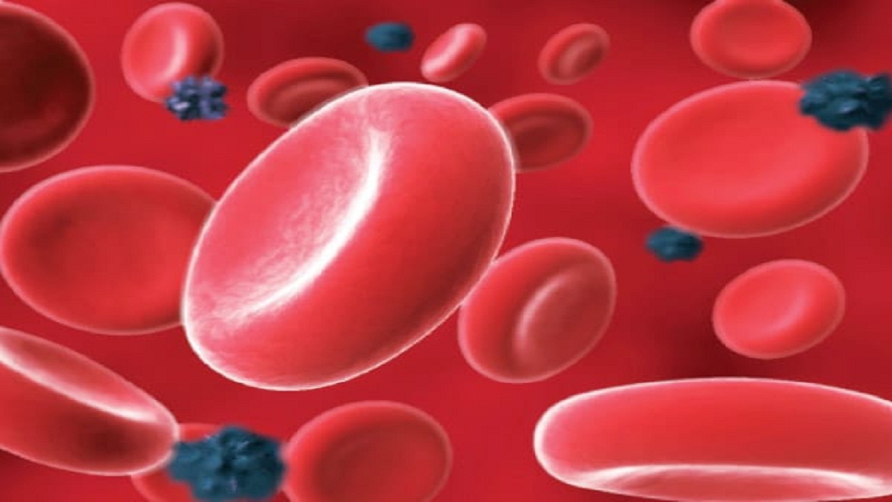 التجمع الصحي الثاني:  نقل الدم باستمرار علاجا رئيسيا لـ “الثلاسيميا”