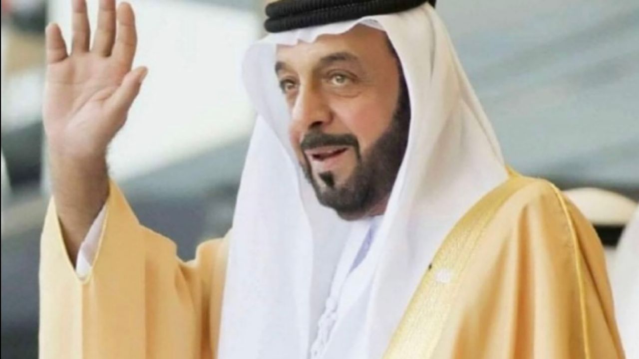 كيف استلم الشيخ خليفة بن زايد حكم الإمارات ؟