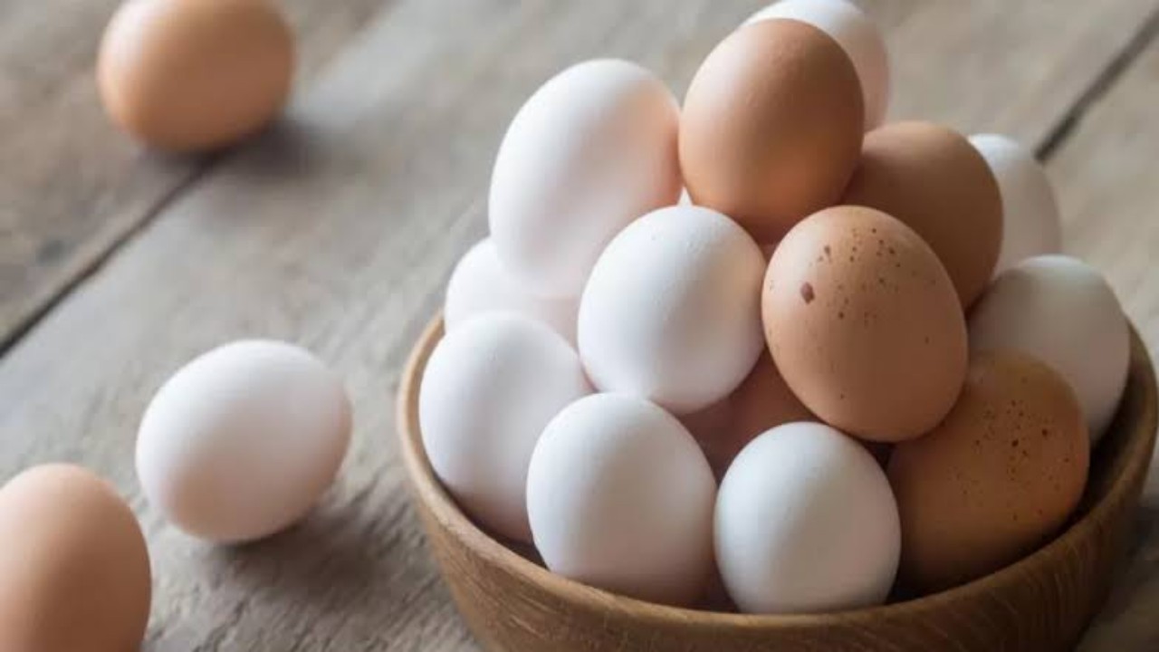 ” منتجي الدواجن ” : لا صحة لبيع بيض الدواجن بأسعار أقل في دول مجاورة