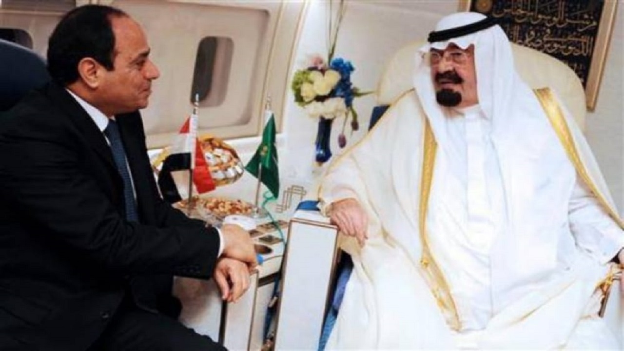 بالفيديو.. زيارة الملك عبدالله ودعمه لمصر عام 2014