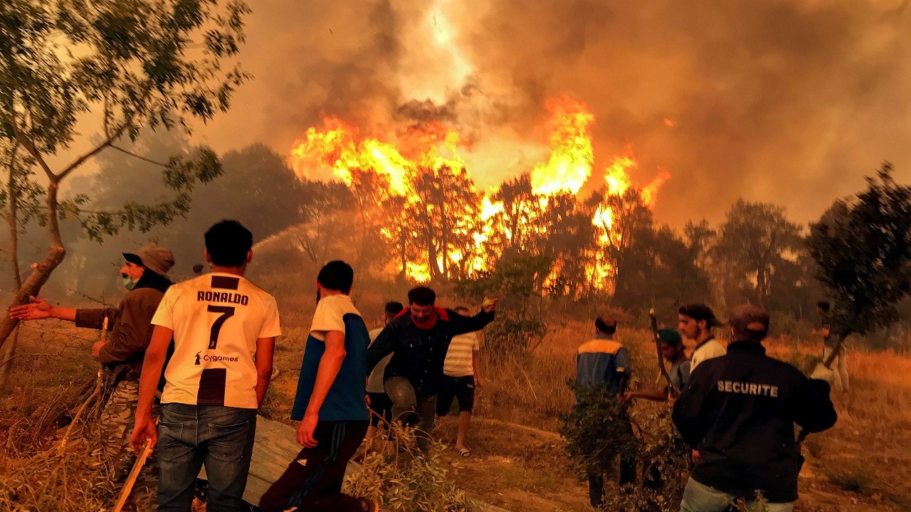 حرائق تقتل وتصيب 15 شخصا بالجزائر