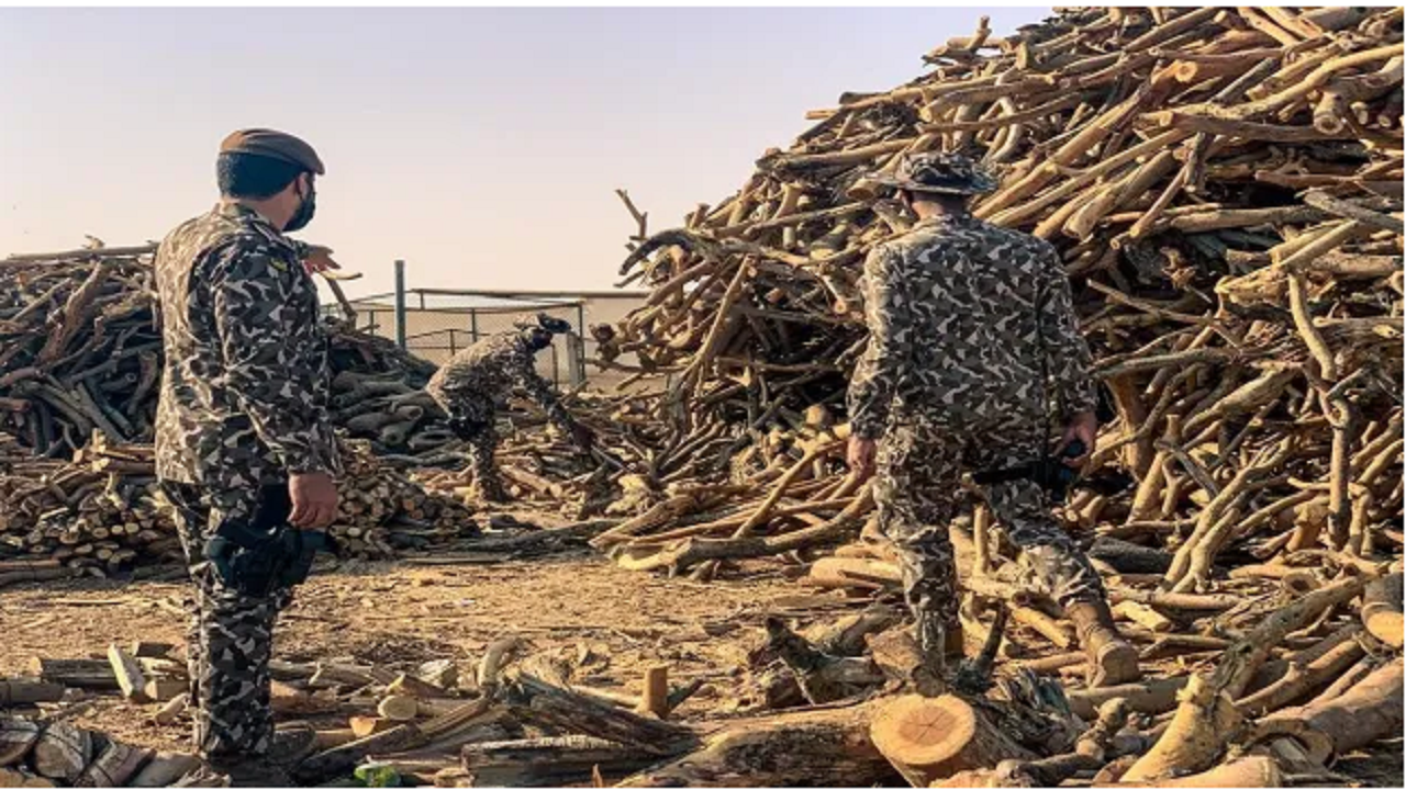 ضبط مخالفين لنظام البيئة في منطقتَيْ الرياض والقصيم