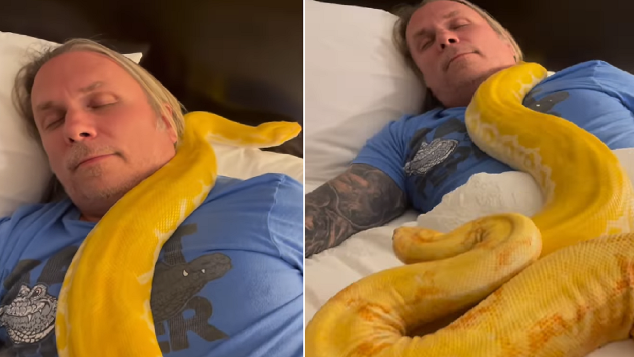 بالفيديو.. ثعابين تزحف على صدر رجل أثناء نومه