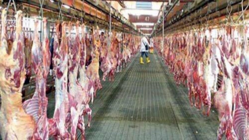 &#8220;فيلالي&#8221;: مشروع المملكة للإفادة من الأضاحي يحرص على عدم إهدار اللحوم