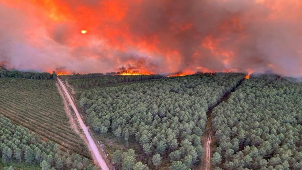 شاهد.. حريق ضخم يلتهم 200 هكتار من الغابات في فرنسا