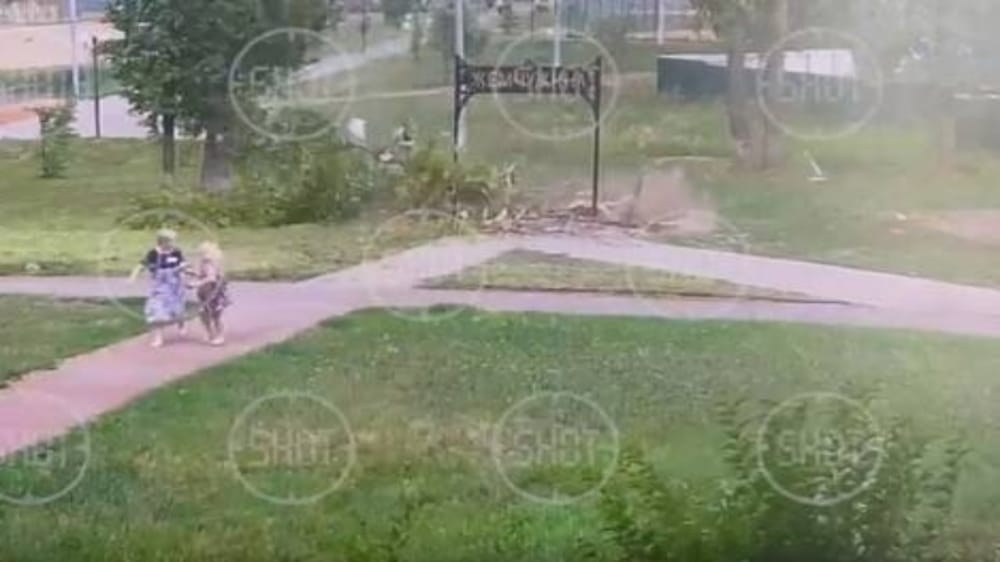 بالفيديو.. سقوط شجرة ضخمة على طفلة