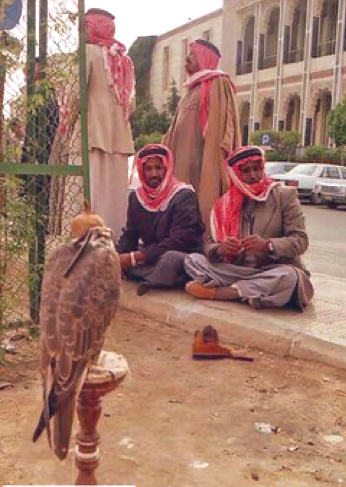 حراج الصقور بالصفاة بالثمانينات الميلادية