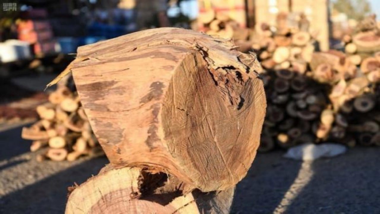 ضبطُ 4 مخالفين لنظام البيئة لاستخدامهم الحطبَ المحلي في أنشطة تجارية في عسير