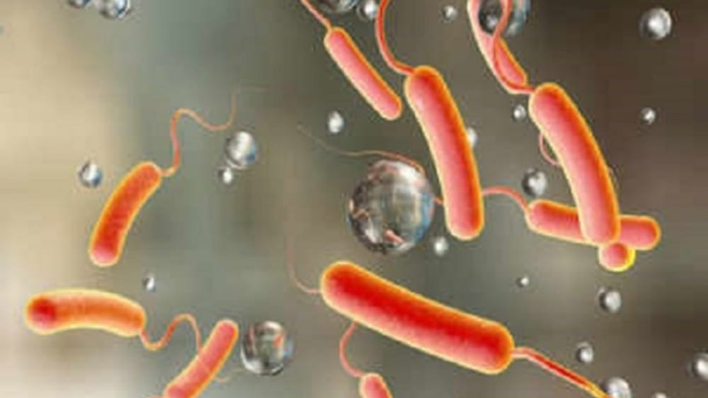اكتشاف بكتريا مسببة للكوليرا في الصين