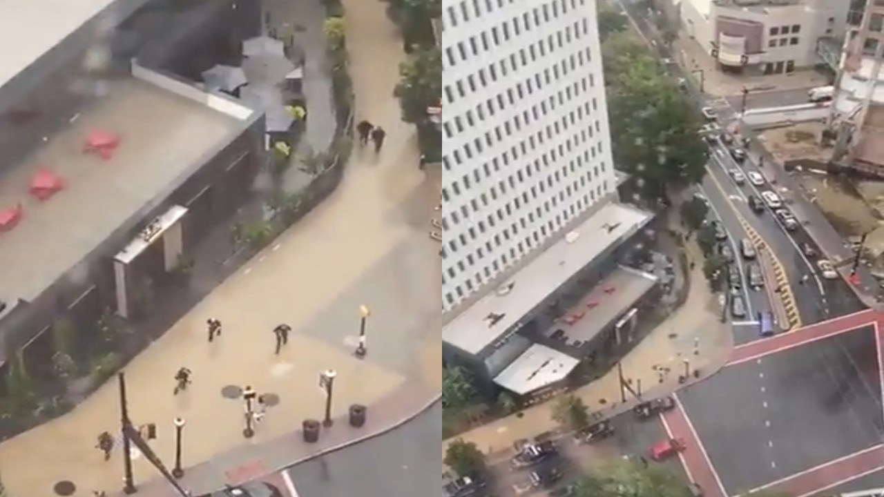 بالفيديو.. اعتقال سيدة في حادث إطلاق نار بولاية جورجيا الأمريكية