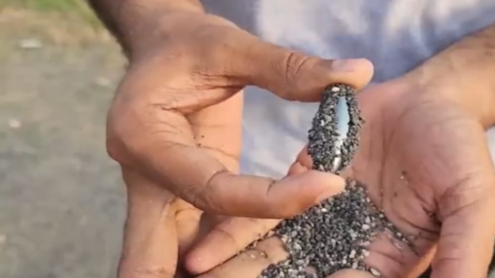 بالفيديو.. العثور على كميات كبيرة من معدن المغنتيت بجازان