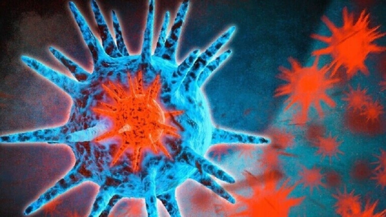 اكتشاف فيروس جديد ينتقل من الحيوانات إلى البشر