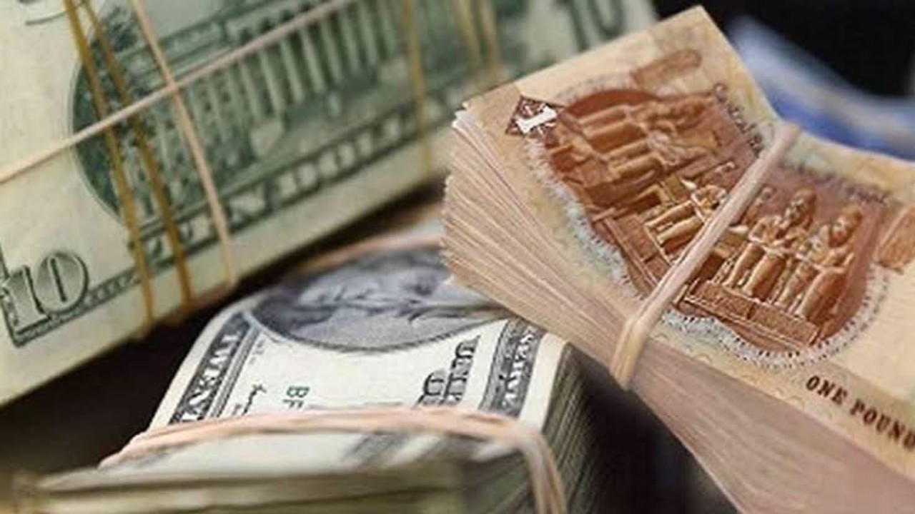 ارتفاع سعر الدولار لمستوى قياسي جديد في مصر