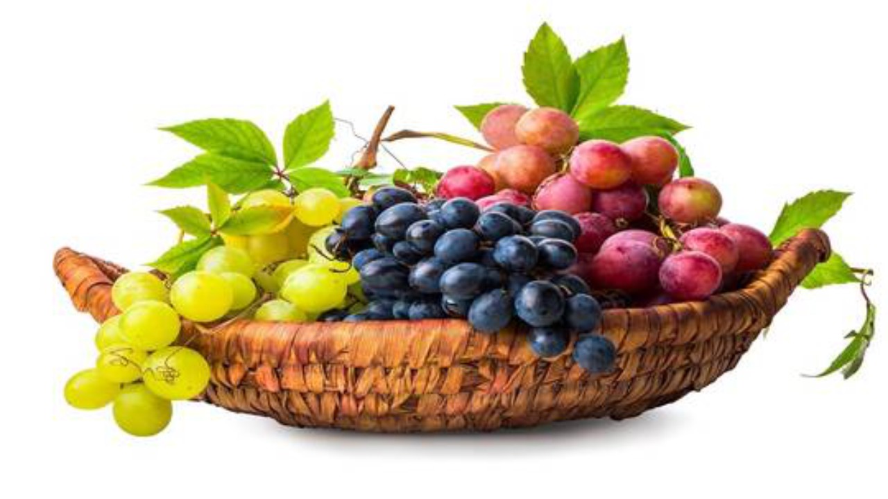 أخصائية تغذية: العنب الداكن أكثر فائدة من العنب الفاتح