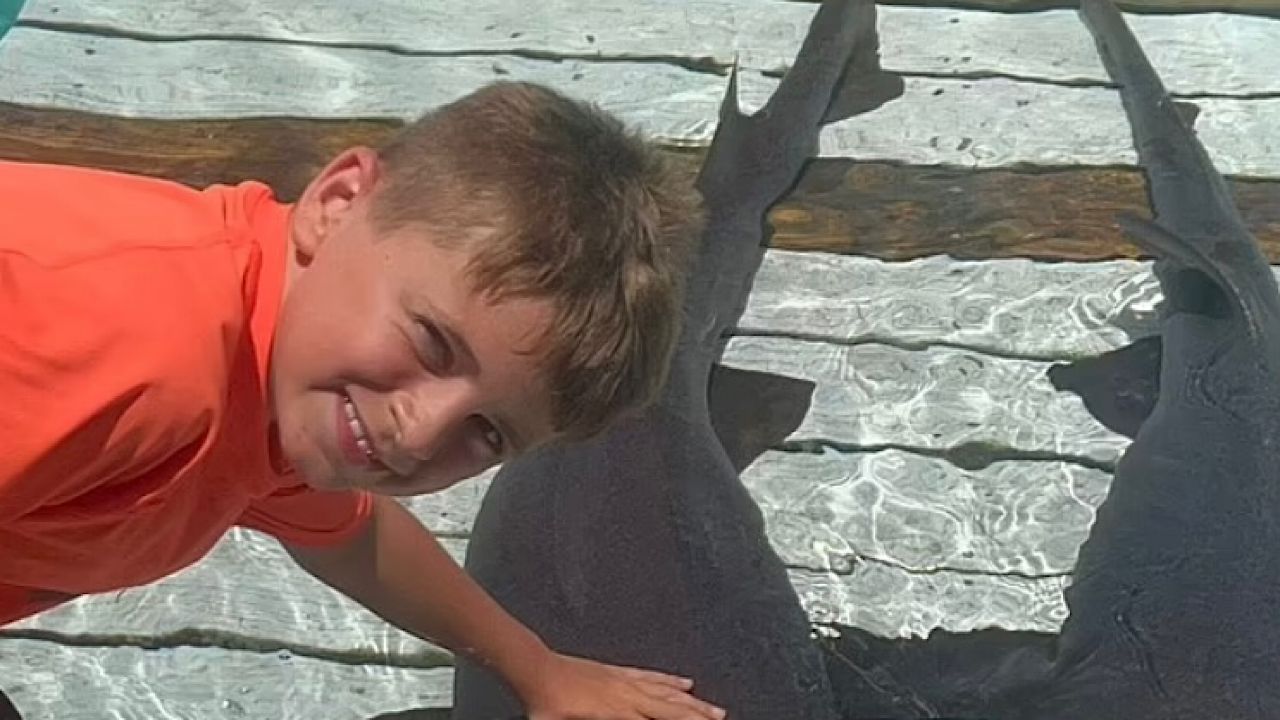 طفل ينجو من هجوم أسماك قرش مفترسة أثناء اطعامهم