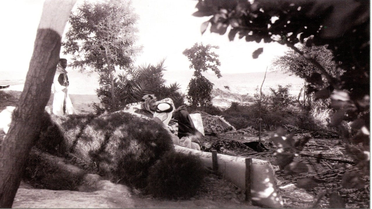 صورة نادرة للملك عبدالعزيز في مزرعته بالرياض